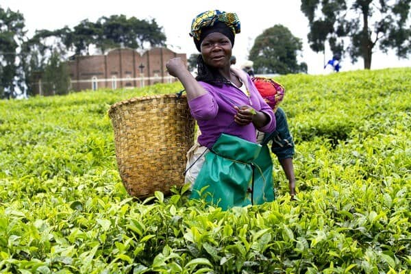 Agri-Farmers