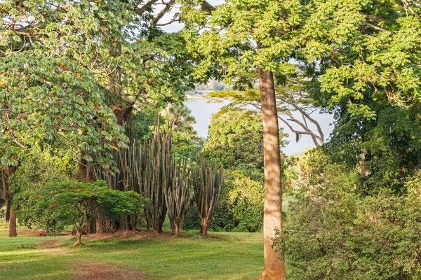 Top 10 Most Beautiful Gardens In Africa 