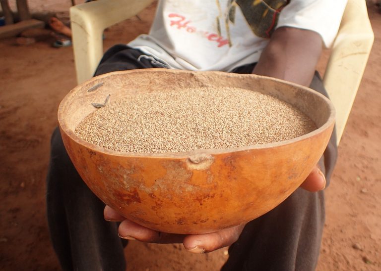 African Superfoods