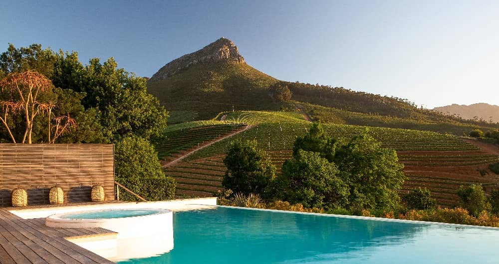 the-best-vineyard-in-africa-africa