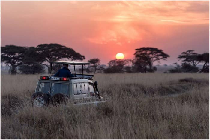 south africa safari safe