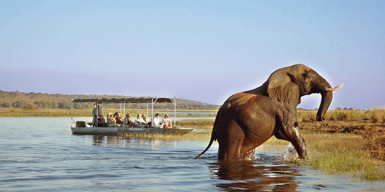 safari ride in africa