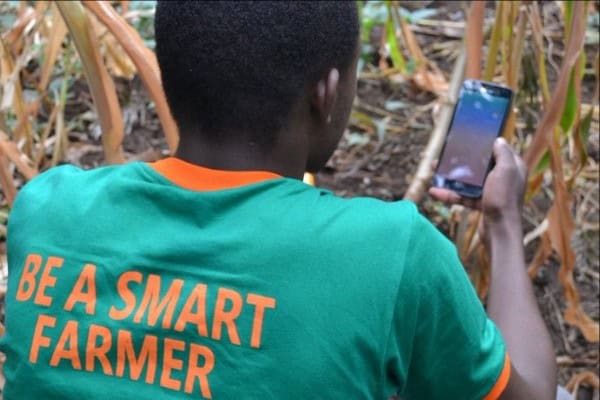 Covid-19 has had a Huge Impact on the African Agribusiness Sector