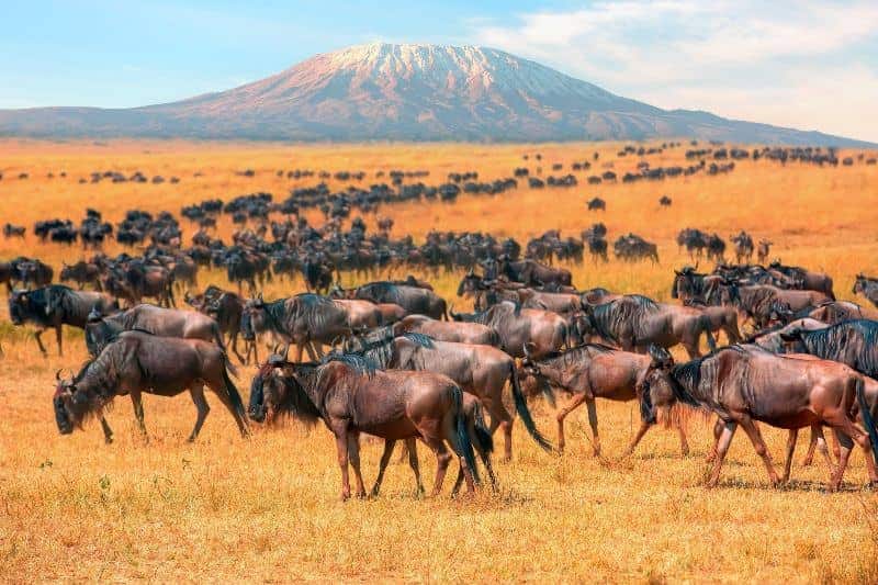 Your August Travel Plans Must Include Kenya