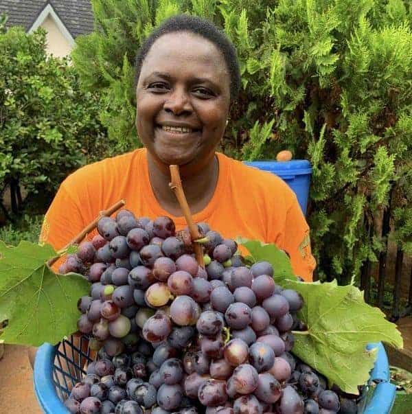 Turning Grapes into a Thriving Business Turning Grapes into a Thriving Business