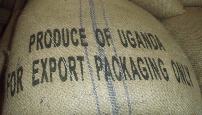 Uganda Overtook Vietnam to Become the Second Largest Supplier of Coffee to Italy