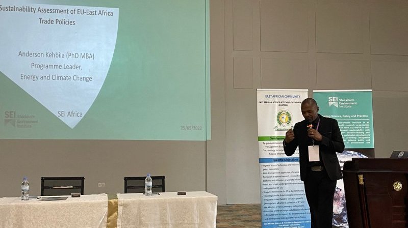 EU Trade Gaps and their Implications for East Africa