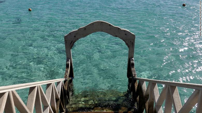 Two Women Killed in Shark Attacks in Egypt’s Red Sea Two Women Killed in Shark Attacks in Egypt’s Red Sea