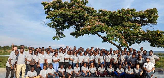 Large group of African students and professionals outdoors under a tree, promoting blockchain soluti.
