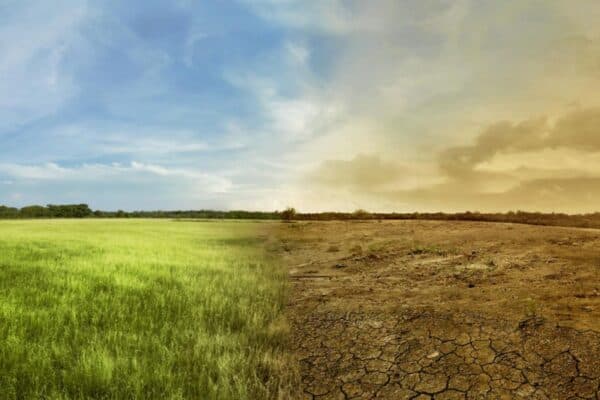 Landscape showing lush green and arid dry land in Africa.