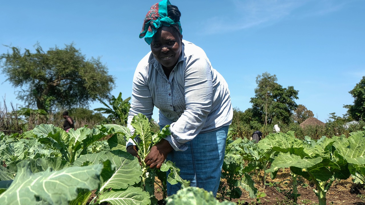 Agriculture in East Africa