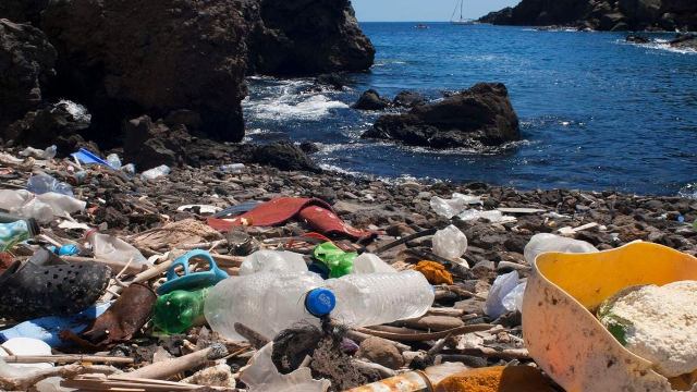 Pollution on the coast with plastic bottles, bags, and trash scattered among rocks.
