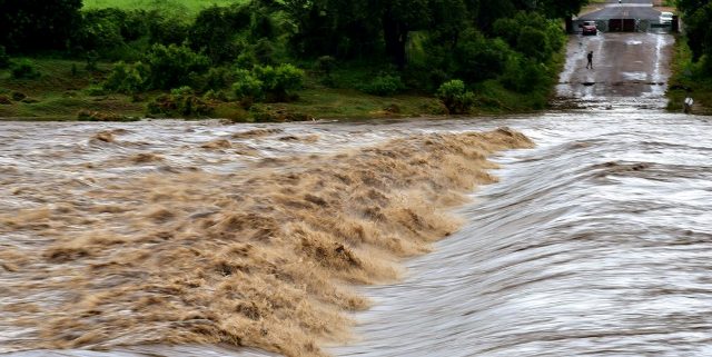 Heavy Rains Dampen South Africa’s Kruger Experience
