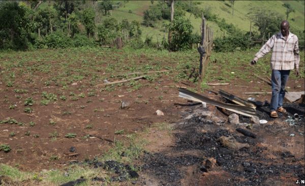 Lifting of a Six-year Ban on Logging in Kenya has Sparked Outrage 