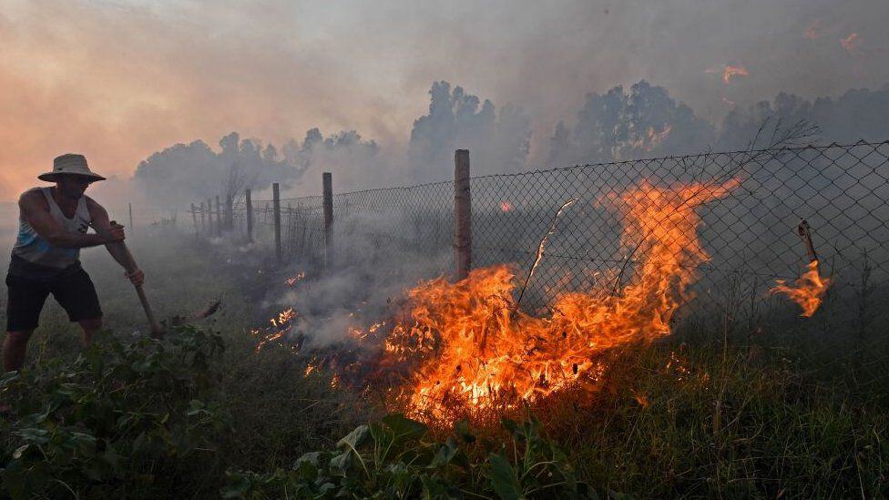 Raging Fires Over Algeria