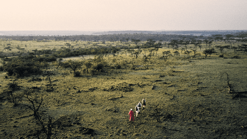 Africa is the Only Safari Destination that Provides a Variety in Experience Offerings                             