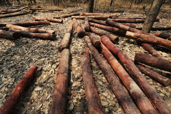 New European Regulation Poses Risks to African Farmers New European Regulation Poses Risks to African Farmers