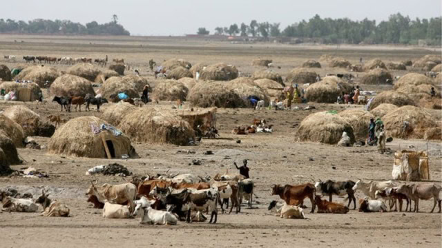 Impact of Ecowas Transhumance Regulations