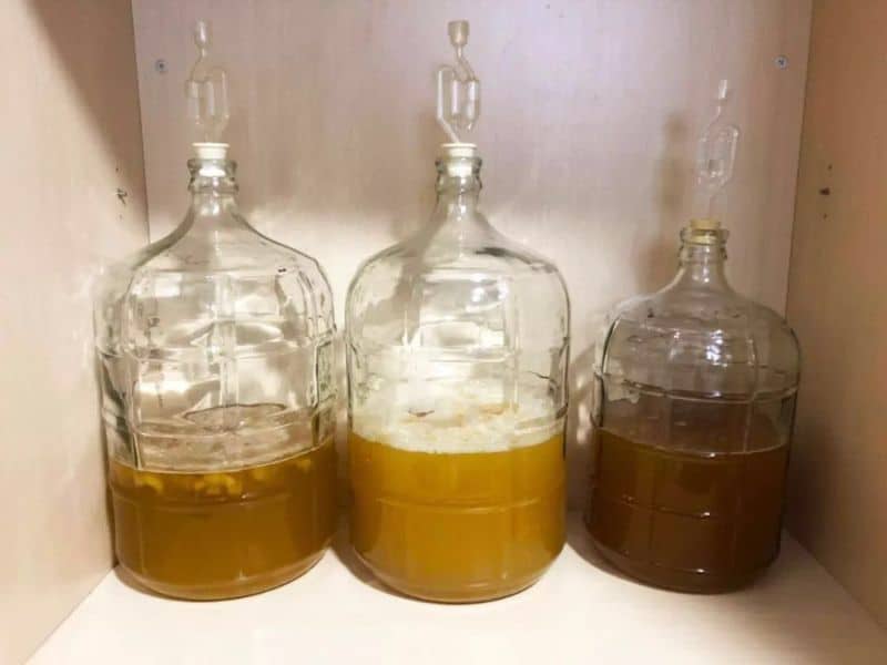 Study Examines Ways to Improve the Production of Nigeria’s Plantain Wine to Create More Jobs Study Examines Ways to Improve the Production of Nigeria’s Plantain Wine to Create More Jobs