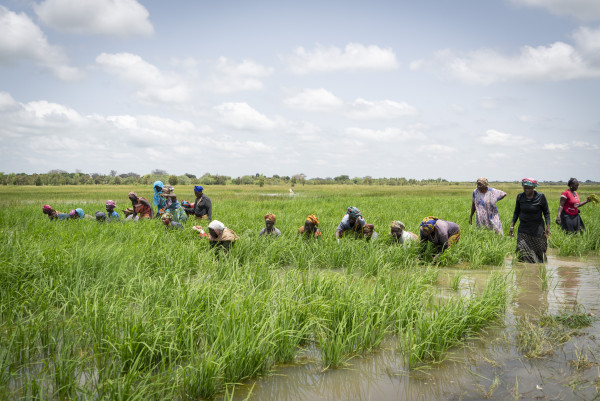 African Development Bank Approves $66 Million Loan For Equity ...