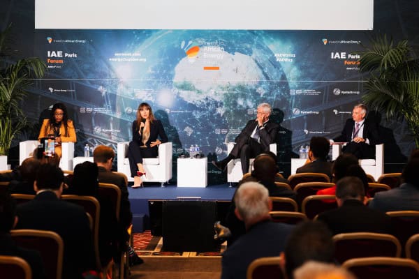 Panel discussion on diversified resource strategies in East Africa.