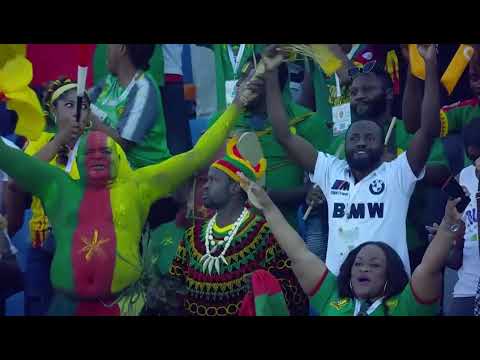 Fans celebrating at Africa Cup of Nations Côte d’Ivoire 2023 with vibrant colors and team spirit.