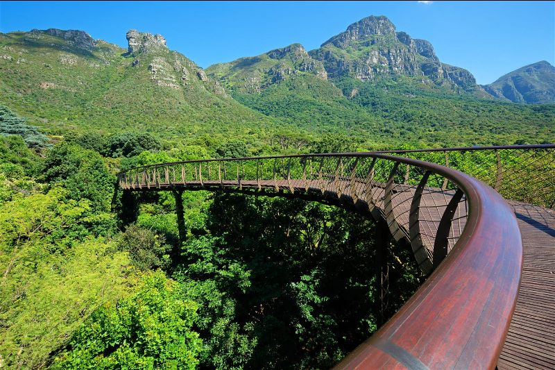 A South African Garden Delight