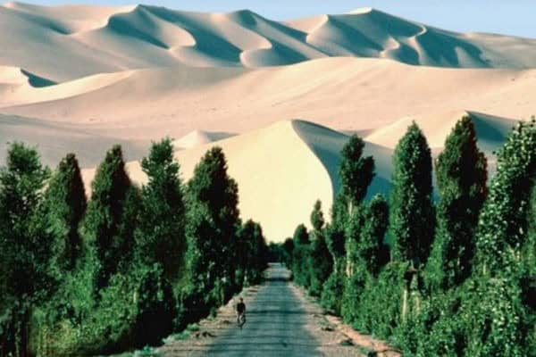 [WATCH] Progress Report on Africa Green Belt