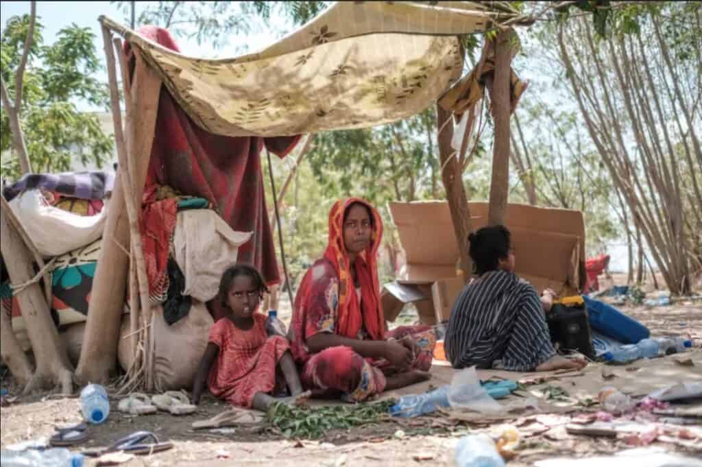 Ethiopian Forces Likely Committed Genocide During Tigray War
