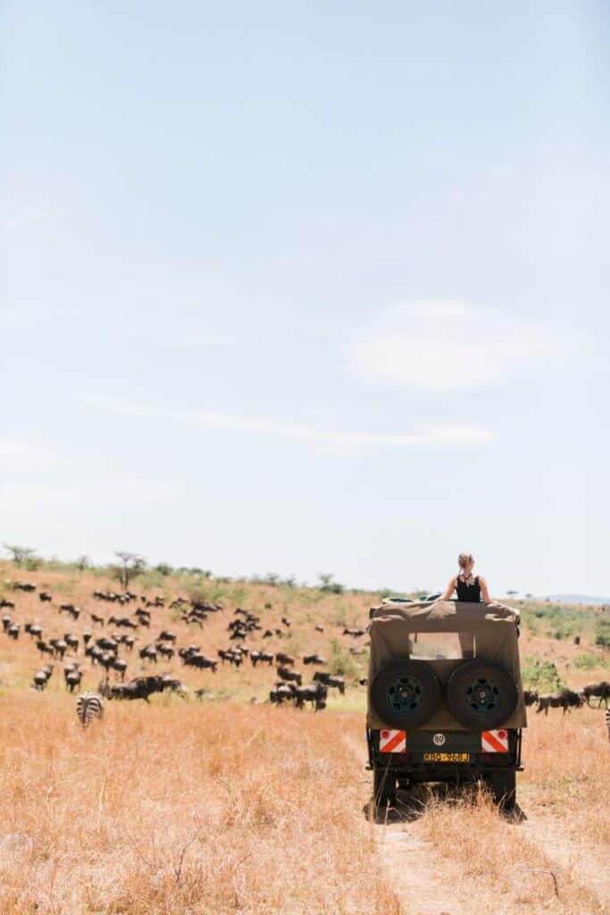 Make Safari Travel more Attractive for Solo Travellers