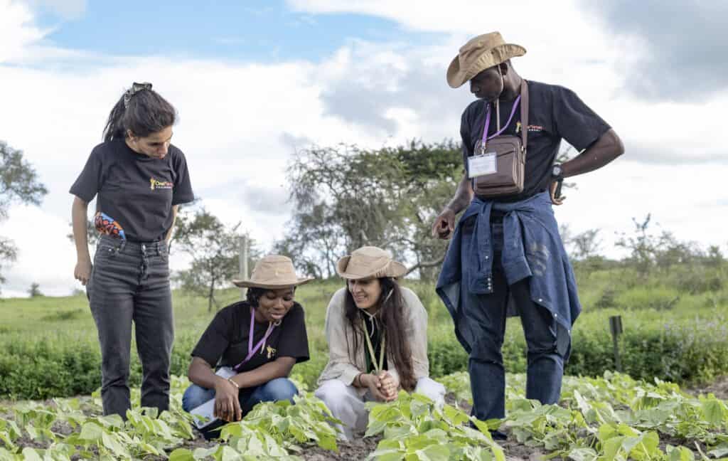 Fellows in the field