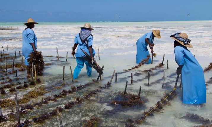 This Activity is Driving the Informal Economy in Dar es Salaam - Africa.com