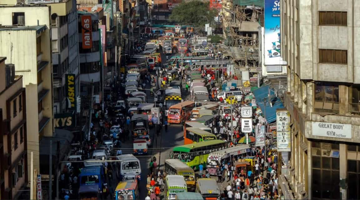 Vibrant city street scene showcasing animals adapting to urban environments.