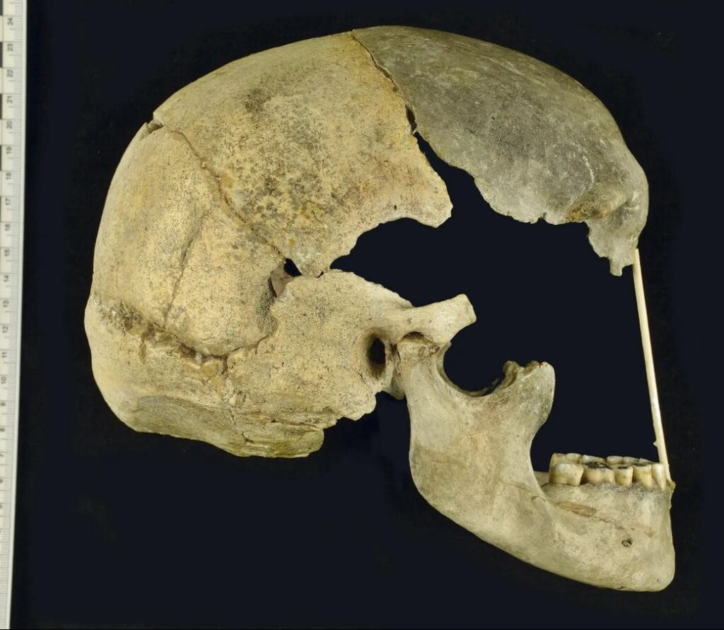 Ancient DNA Sheds Light on Human-Neanderthal Interactions 45,000 Years Ago