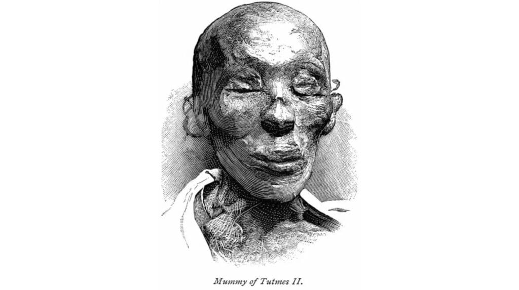 Archaeologists Discover Ancient Tomb of King Thutmose II