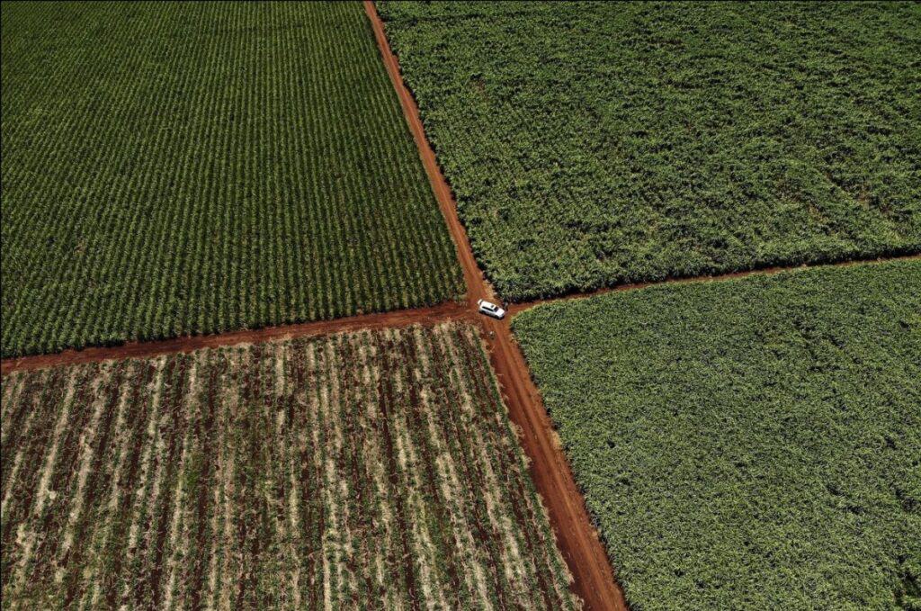 DA Mounts Legal Challenge Against Controversial Land Expropriation Law