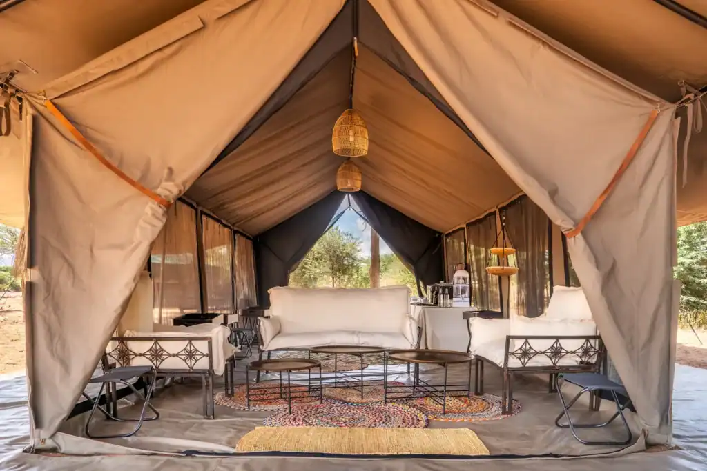 The Best New Safari Camps Of 2025