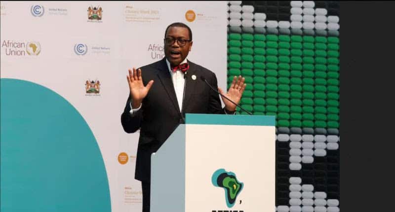 AfDB President Calls for End to Raw Material Exports