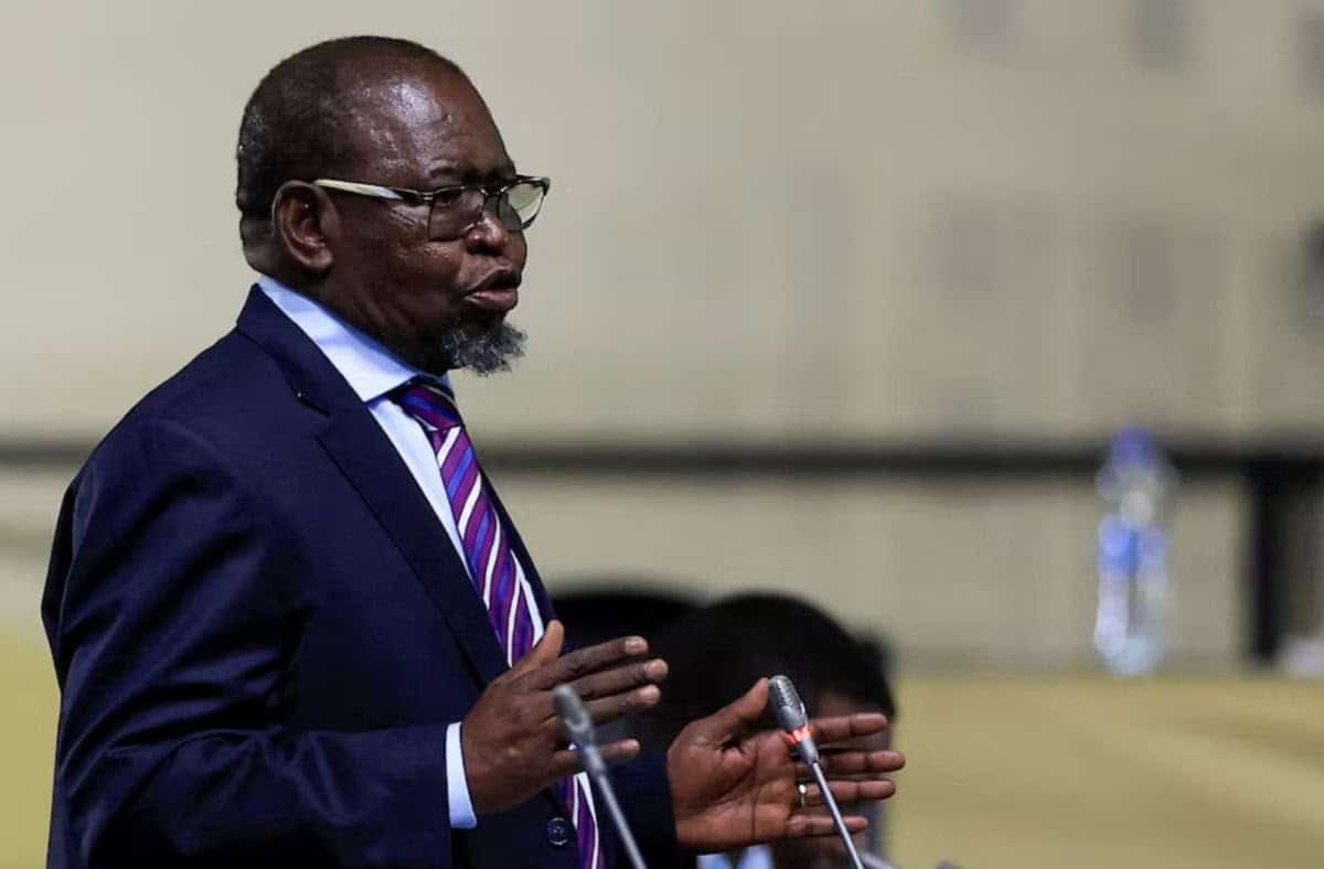 South Africa’s Finance Minister Warns Against Opposing VAT Hike