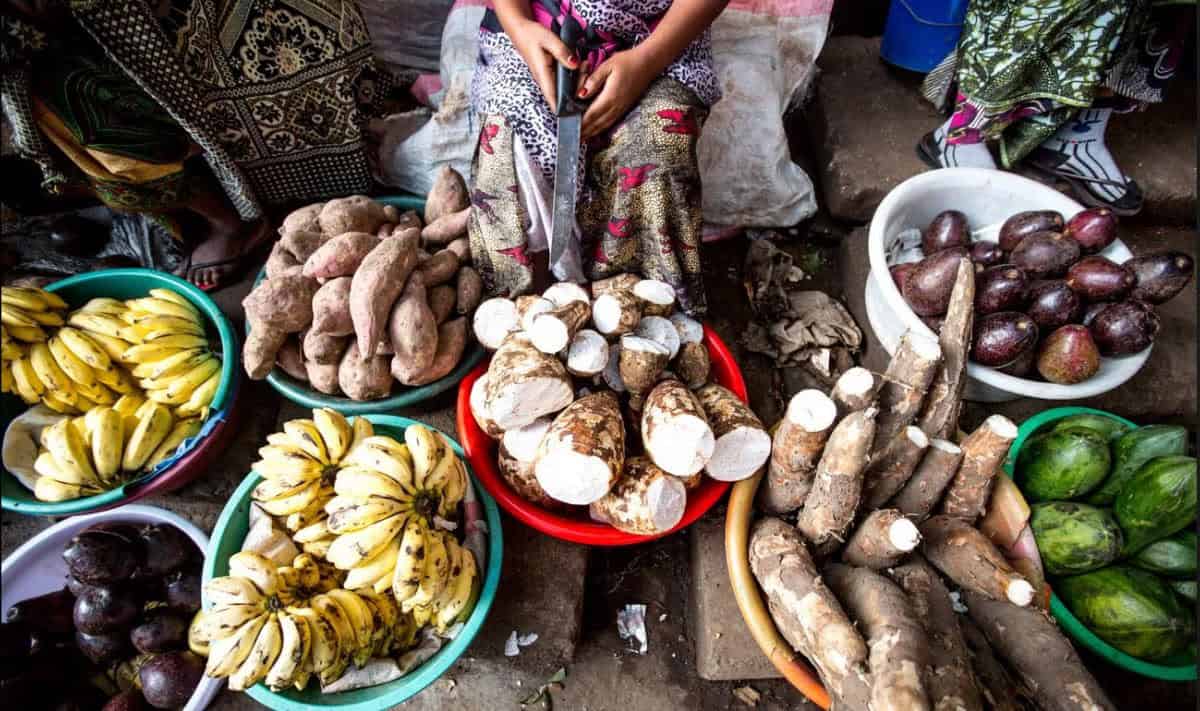 Tanzania’s Heritage Diet Shown to Boost Health, Challenging Western Diets