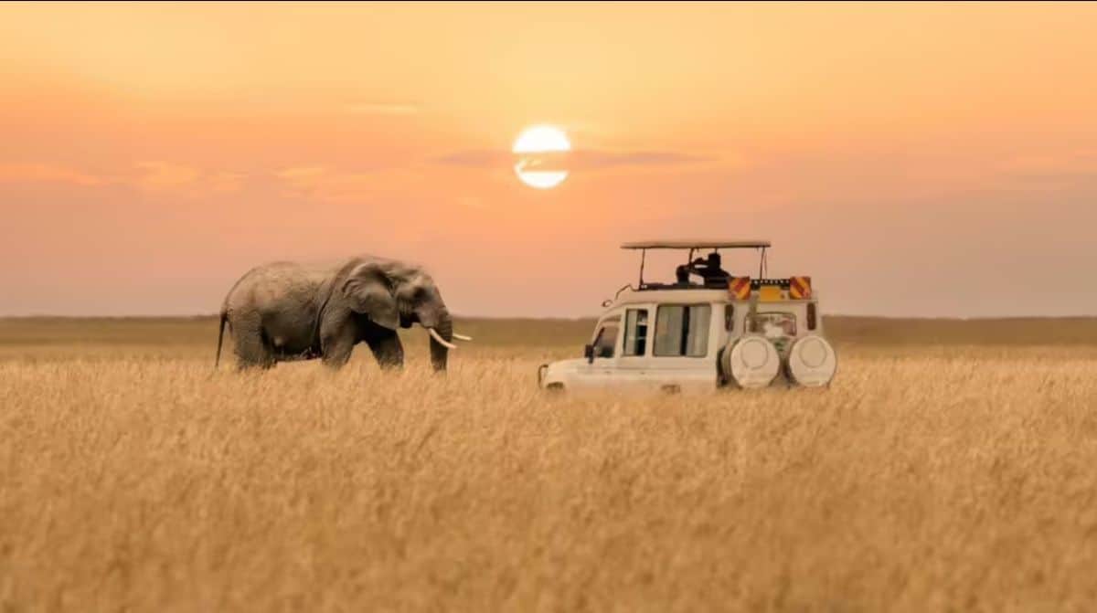 From Safaris to Shorelines: Africa’s Bold Bid to Become a Tourist Powerhouse