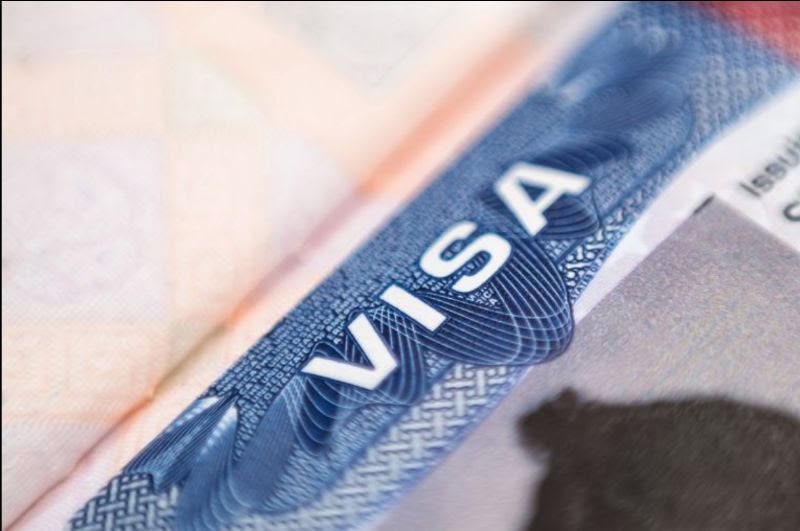 Visa application document close-up.