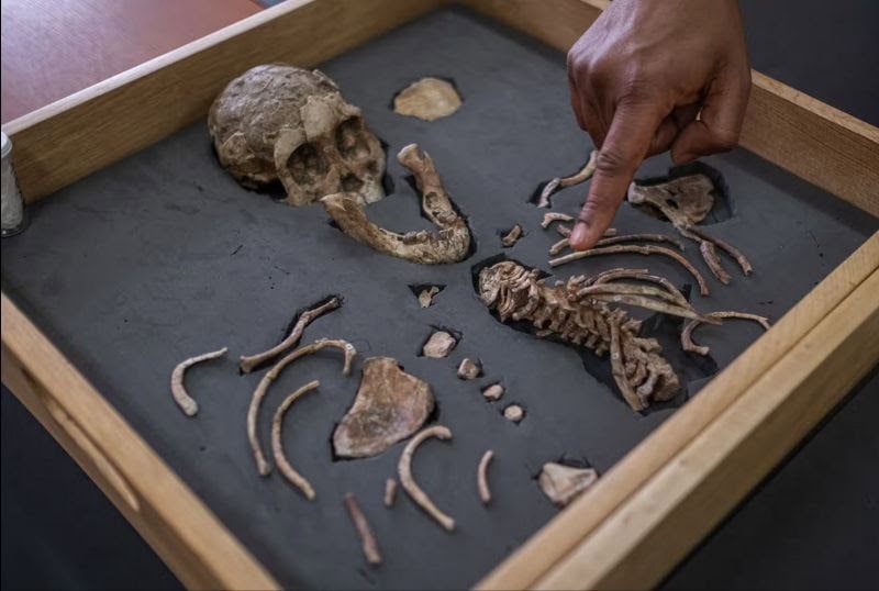 Ethiopia Reclaims the Story of Humanity’s Origins
