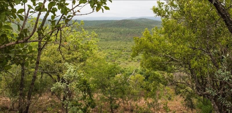 Greece trains Libyan Coast Guards to enhance migration management efforts.