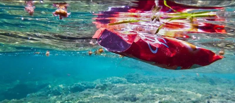 Mediterranean Fishers Doubt Global Ocean Pledges Will Deliver