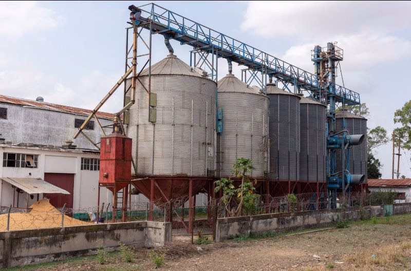 Mozambique to quadruple rice output with $22.8M AfDB boost