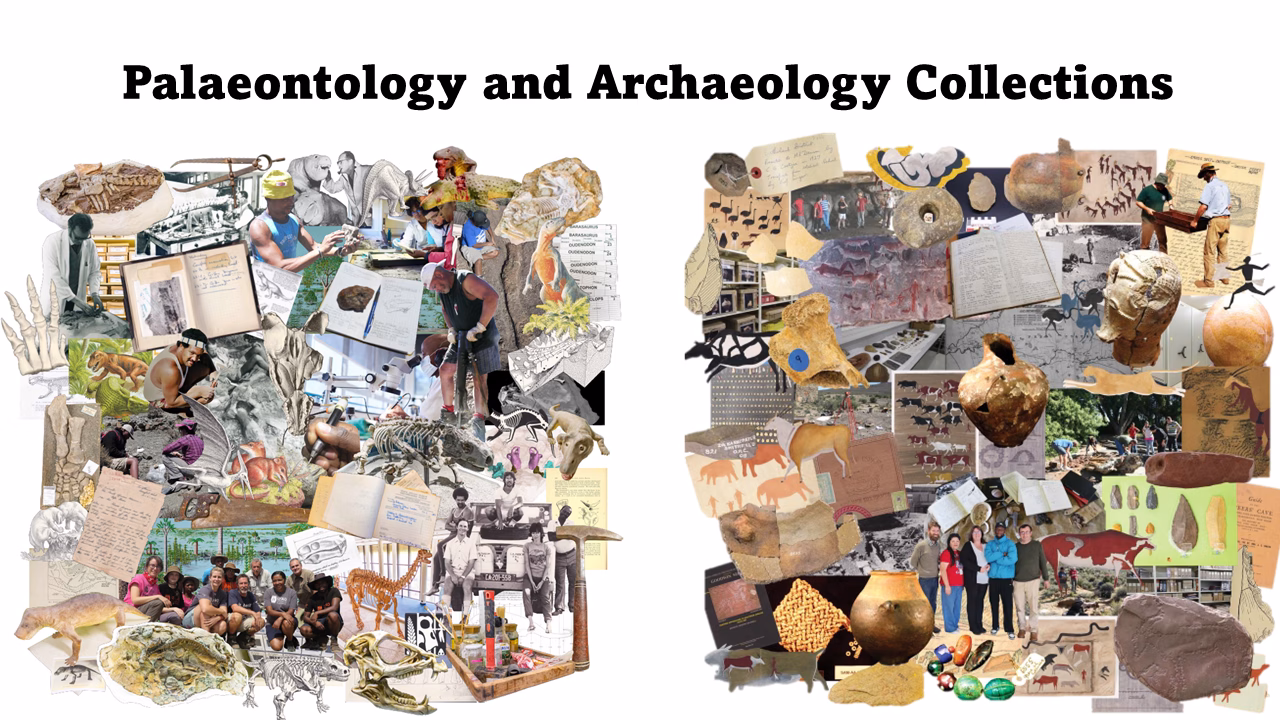 Futures_Past Brings Southern African Archives To Life Through Immersive Storytelling