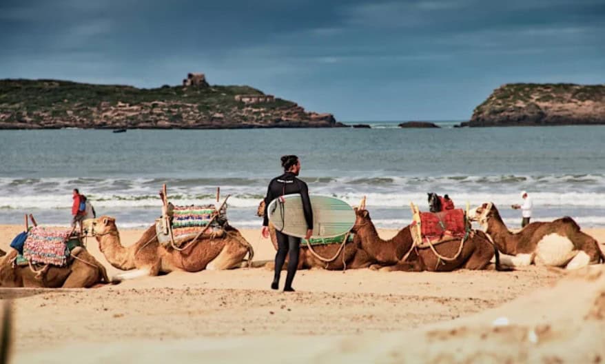Tourist with camels on Moroccan beach, highlighting Africa’s rising tourism industry.