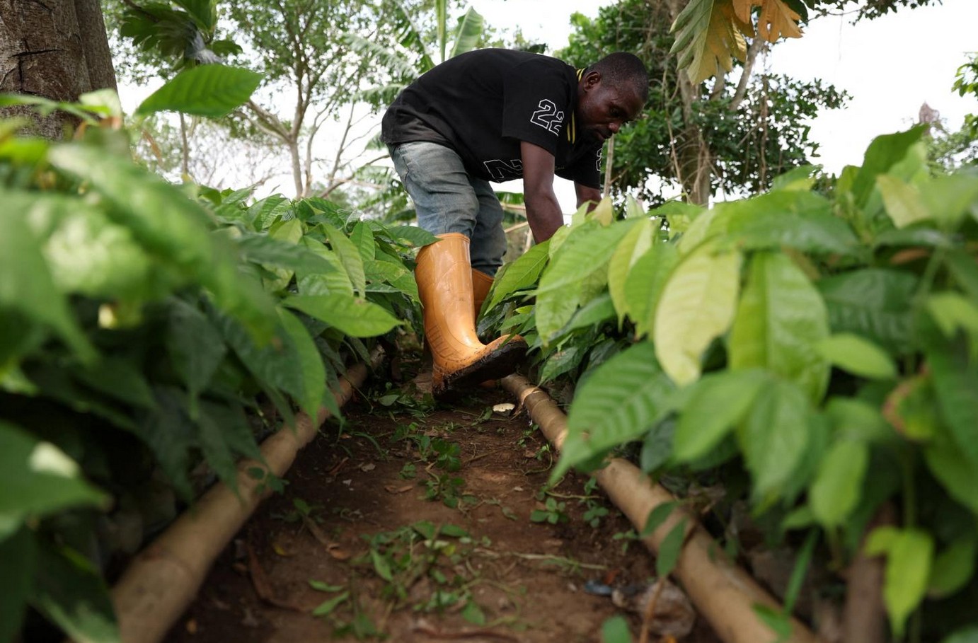 Sorry! Image not available at this time