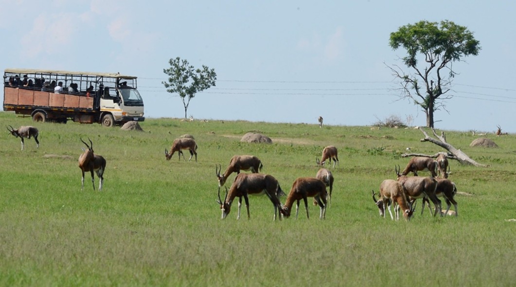 Sorry! Image not available at this time